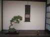 1378-PICT0163   